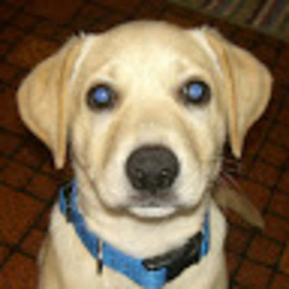 Meet your Posher, Marti